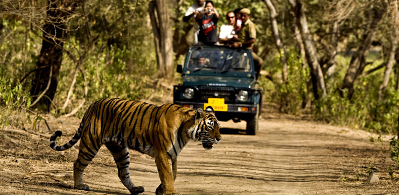 Weekend Getaway to Corbett Tour